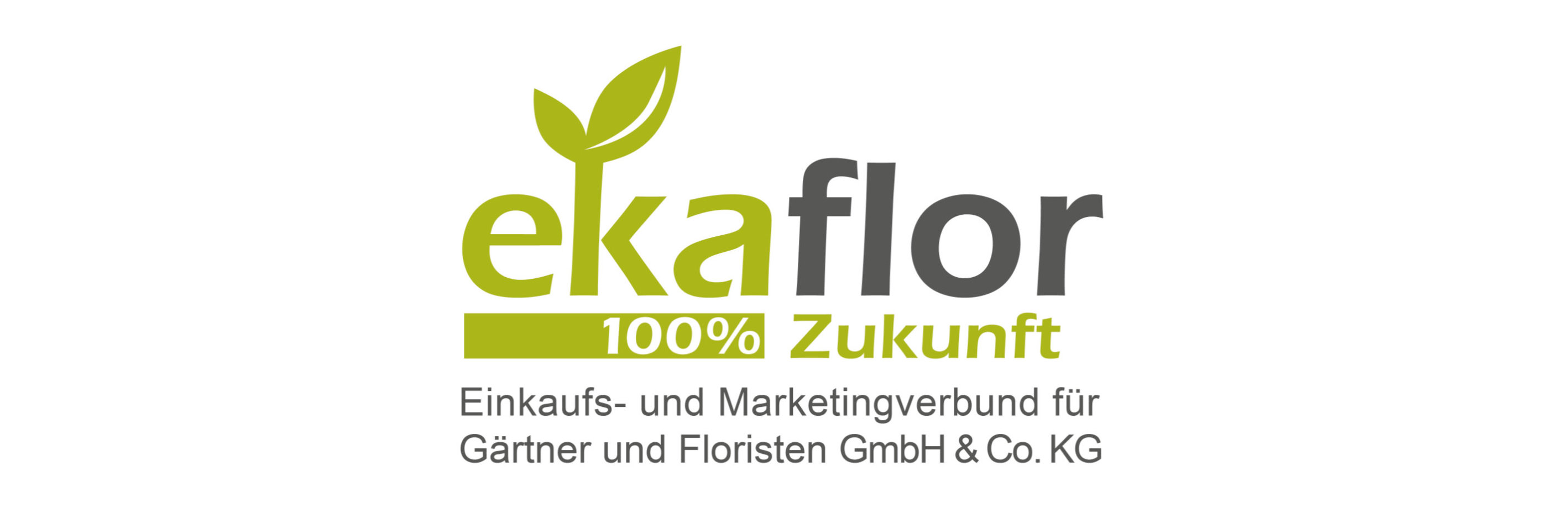 ekaflor logo